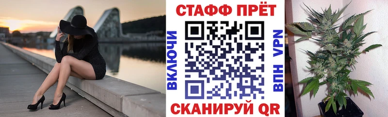 Сколько стоит Сенгилей Гашиш СК Галлюциногенные грибы Мефедрон Конопля КОКАИН