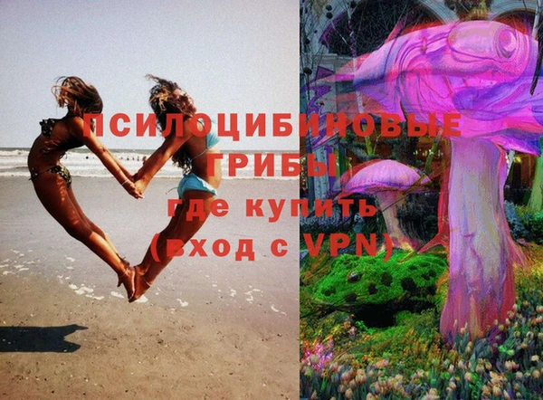 гидра Алексеевка