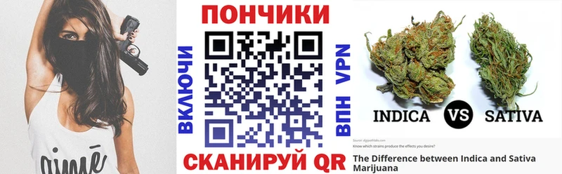 Бошки марихуана OG Kush Сенгилей
